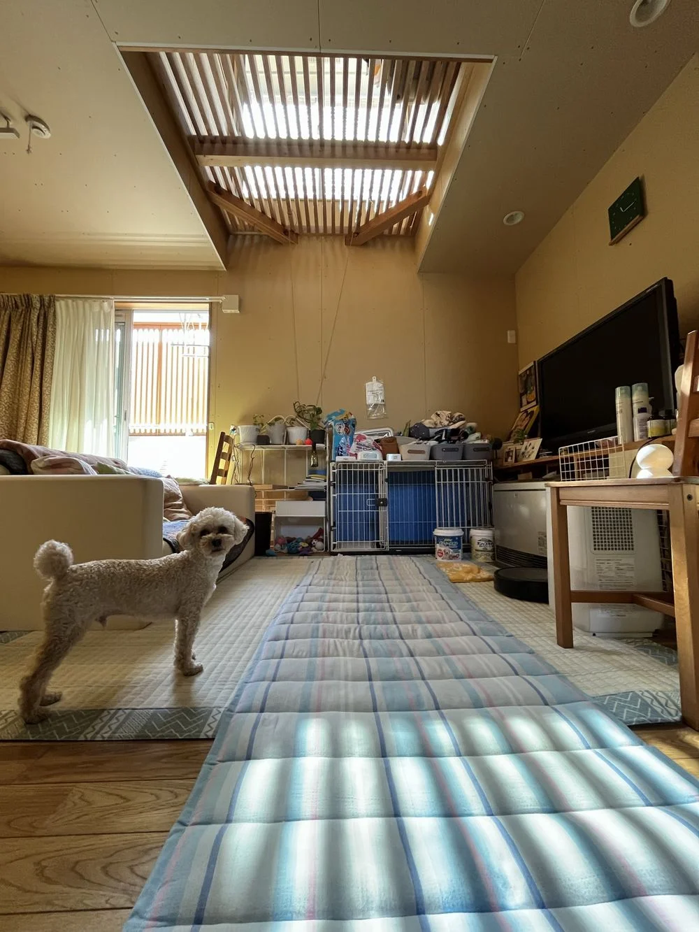 吹抜けとトップライトから光が届く小さな住宅の内観